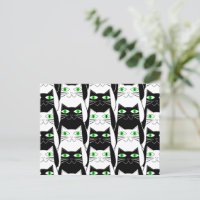 Gatos blancos y negros