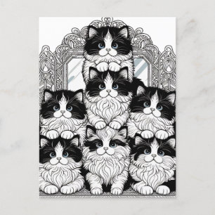 Postal Gatos blancos y negros