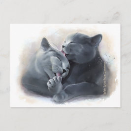 Postal Gatos británicos de Shorthair