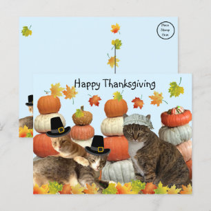 Postal Gatos, calabazas y hojas de otoño