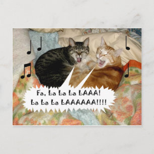 Postal Gatos Cantores