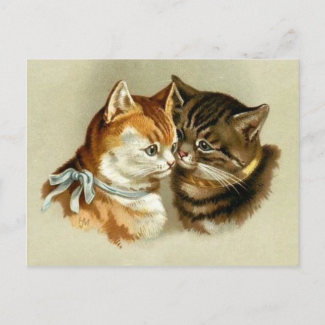 Postal Gatos cúbicos (Anverso)
