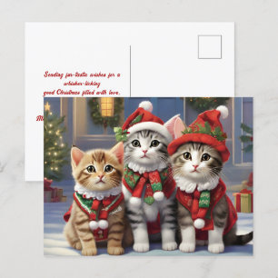 Postal Gatos Cuidados Con Sombrero Santa