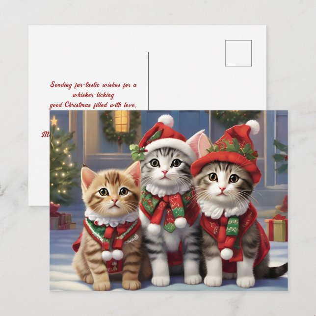 Postal Gatos Cuidados Con Sombrero Santa (Anverso / Reverso)