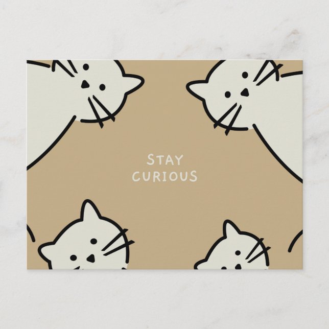 Postal Gatos curiosos (Anverso)