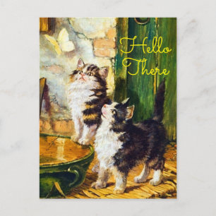 Postal Gatos curiosos vintage Mariposa Hola`