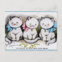 Gatos de cosecha