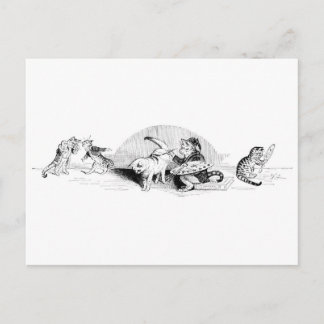 Postal Gatos de cosecha