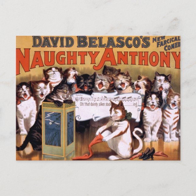 Postal Gatos de cosecha (Anverso)