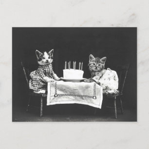 Postal Gatos de cosecha en una fiesta de cumpleaños