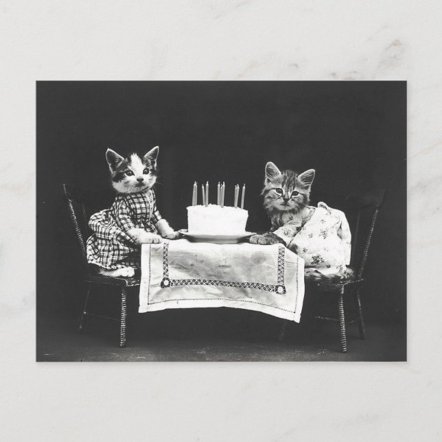 Postal Gatos de cosecha en una fiesta de cumpleaños (Anverso)