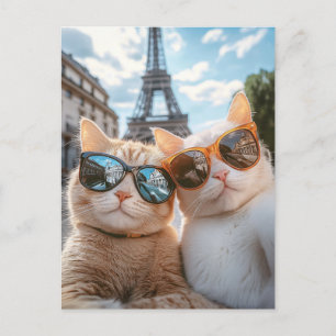 Postal Gatos de Guay en París