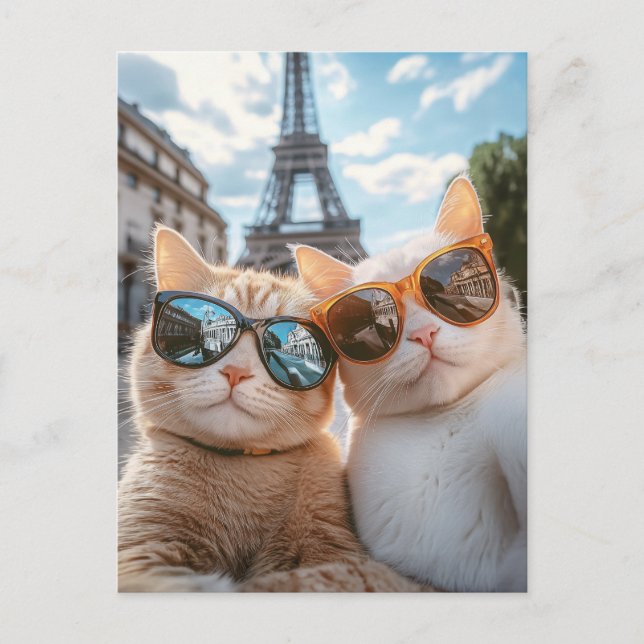 Postal Gatos de Guay en París (Anverso)