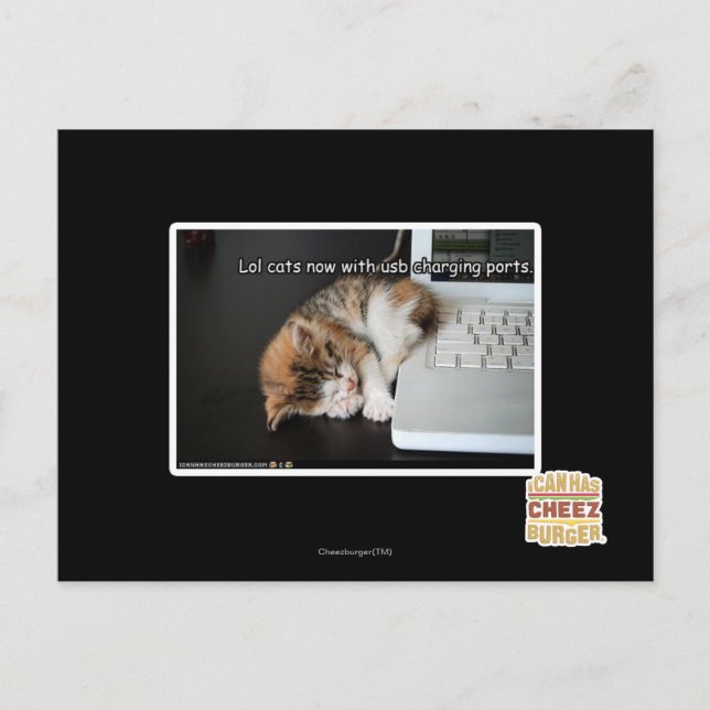 Postal Gatos de Lol con USB (Anverso)