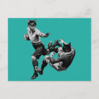 gatos de rugby de época divertida