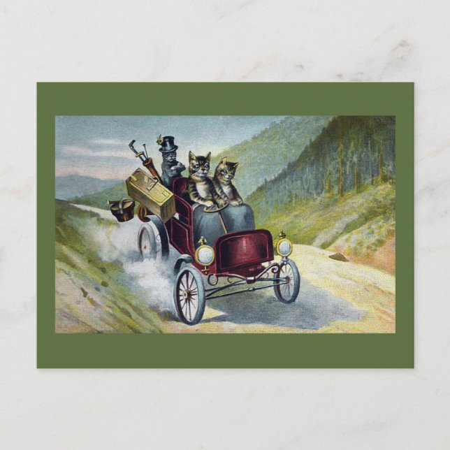 Postal Gatos de vacaciones en las Cataratas (Anverso)