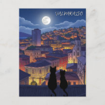 Gatos de Valparaiso Chile de noche