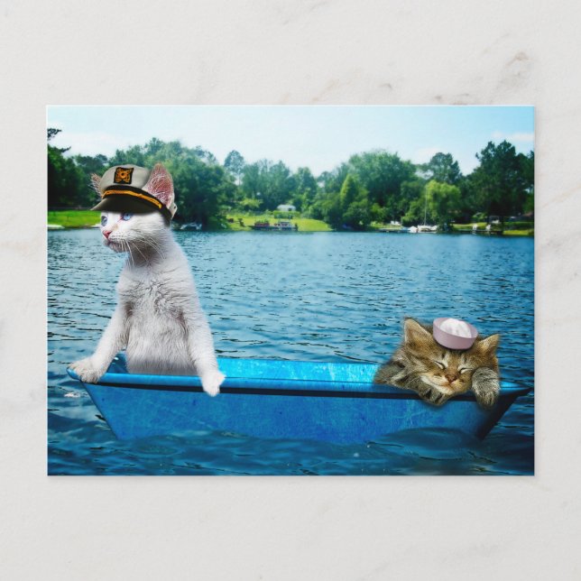Postal Gatos del marinero (Anverso)