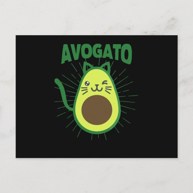 Postal Gatos divertidos de Cinco De Mayo Gatos mexicanos  (Anverso)