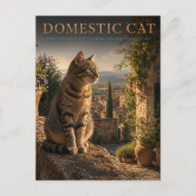 Gatos Domésticos Jardín Patio ANIMALES