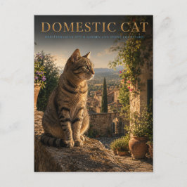 Postal Gatos Domésticos Jardín Patio ANIMALES
