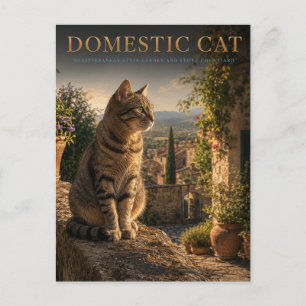 Postal Gatos Domésticos Jardín Patio ANIMALES