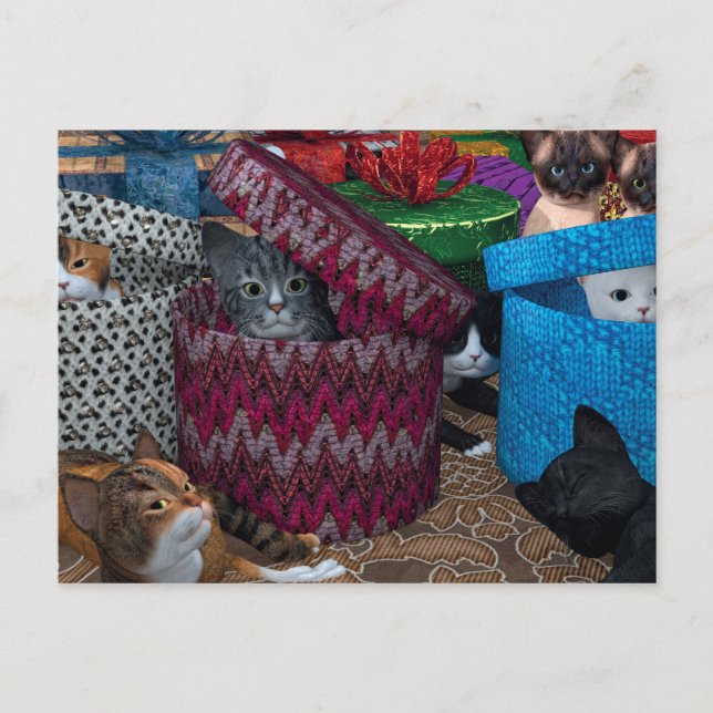 Postal Gatos En Cajas (Anverso)