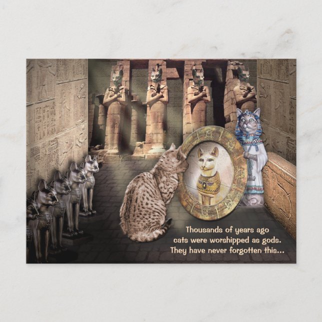 Postal Gatos en el viejo Egipto (Anverso)