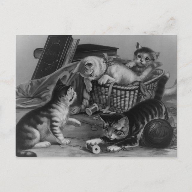 Postal Gatos en la cesta de coser (Anverso)