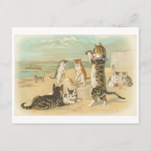 Postal "Gatos en la playa"