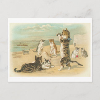 Postal "Gatos en la playa"