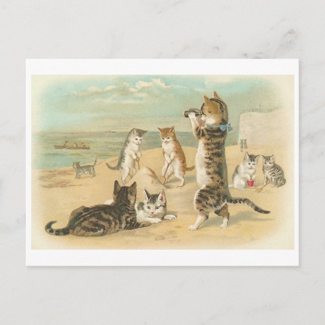 Postal "Gatos en la playa" (Anverso)
