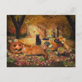Postal Gatos en otoño