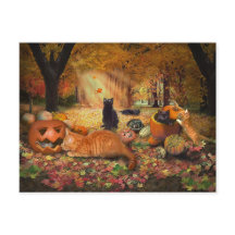 Gatos en otoño