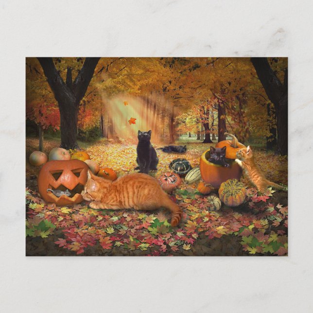 Postal Gatos en otoño (Anverso)