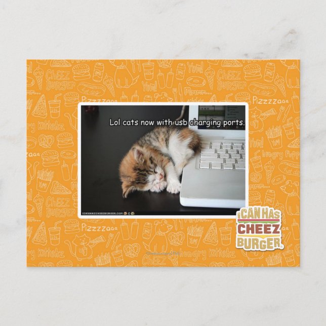 Postal Gatos lol con USB (Anverso)