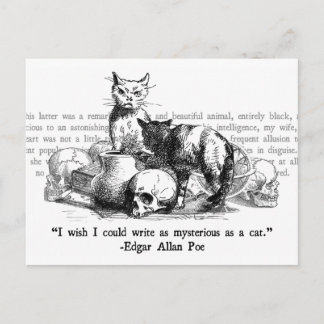 Postal Gatos misteriosos