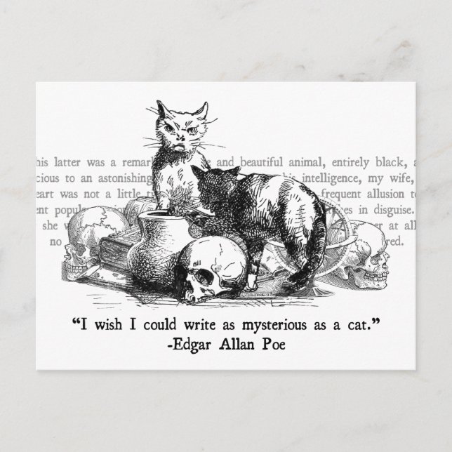 Postal Gatos misteriosos (Anverso)