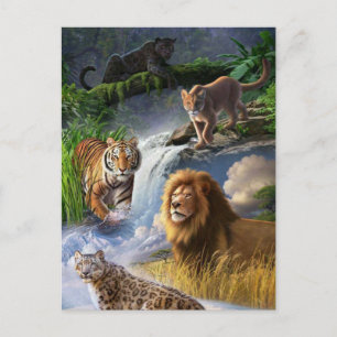 Postal Gatos monteses