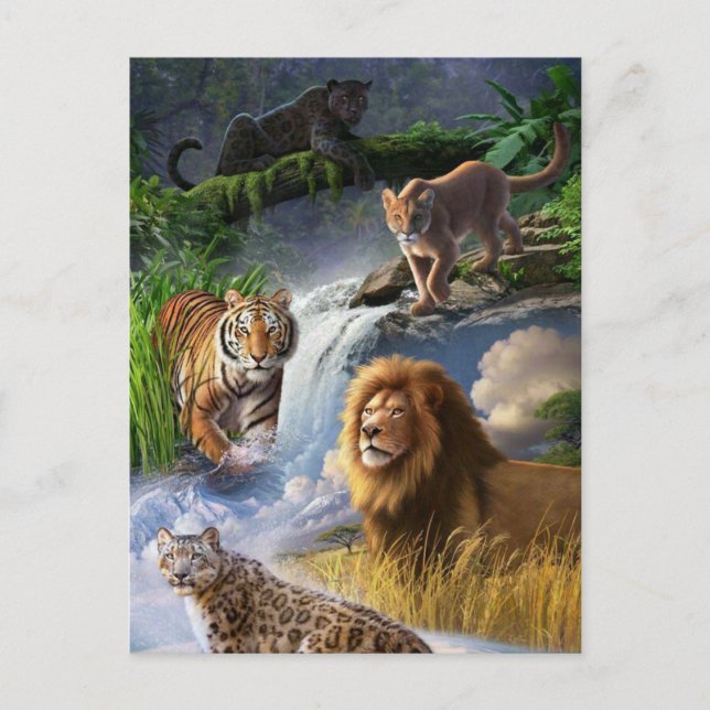 Postal Gatos monteses (Anverso)