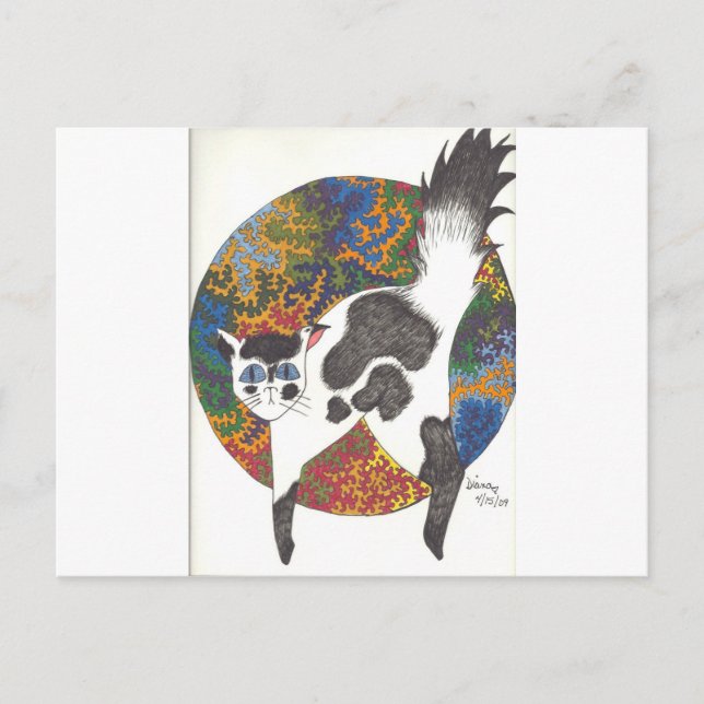 Postal Gatos - Negro y Blanco (Anverso)