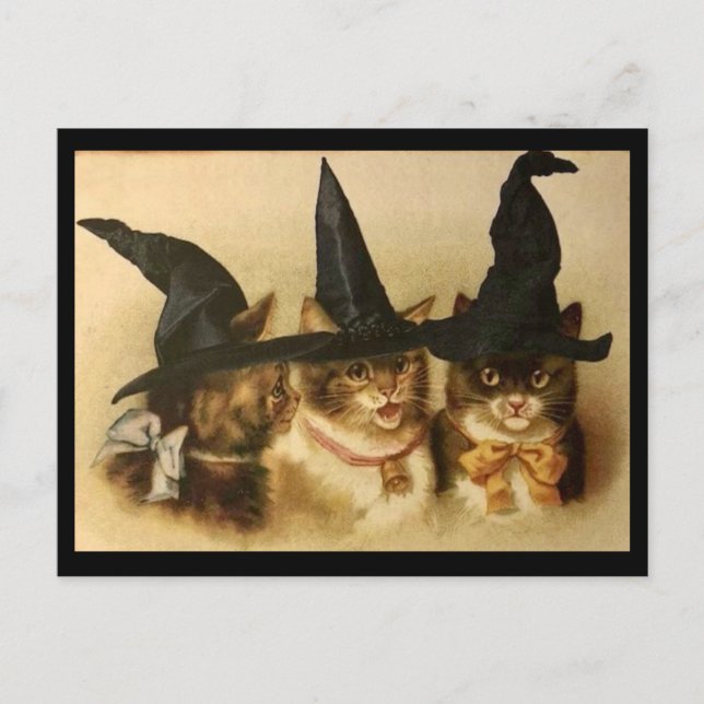 Postal Gatos negros de Halloween vintage (Anverso)
