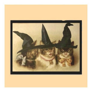 Postal Gatos Negros Vintage de Halloween
