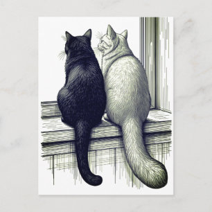Postal Gatos negros y blancos en la ventana