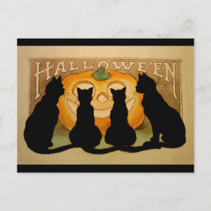 Postal Gatos negros y un Jack O'Lantern