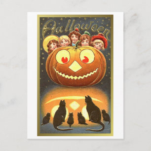 Postal Gatos observando niños y calabazas VIntage Hallowe