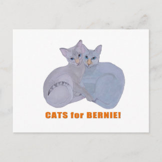 Postal Gatos para Bernie!