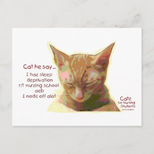 Postal Gatos para estudiantes de Enfermería - Privación d