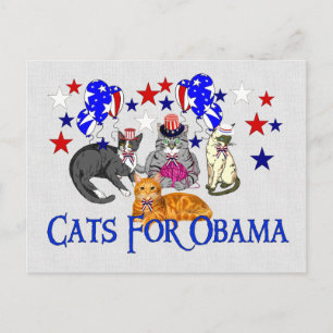 POSTAL GATOS PARA OBAMA