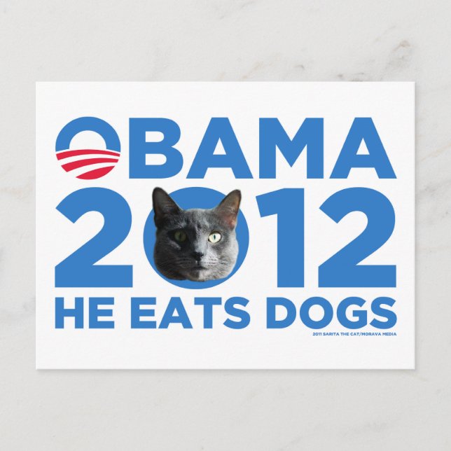 Postal Gatos Para Obama (Anverso)